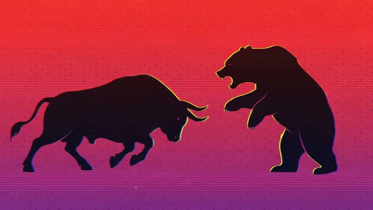 bull against bear