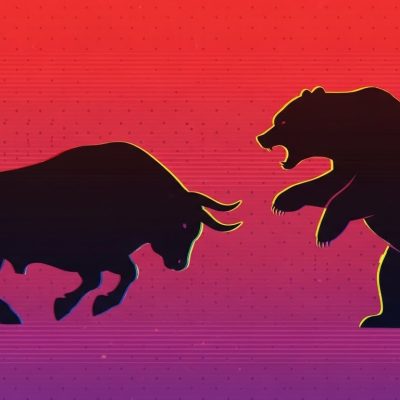 bull against bear